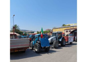 Protesta contro indennizzi Regione Calabria