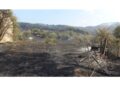 Indagini della Forestale sul rogo a Sorgono