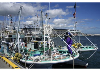 A causa del rilascio di acque trattate di Fukushima nell'oceano