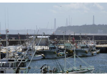 Sostegni economici all'industria ittica per evitare il collasso