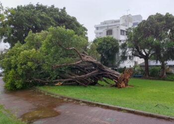 Nuovo allarme della Jma