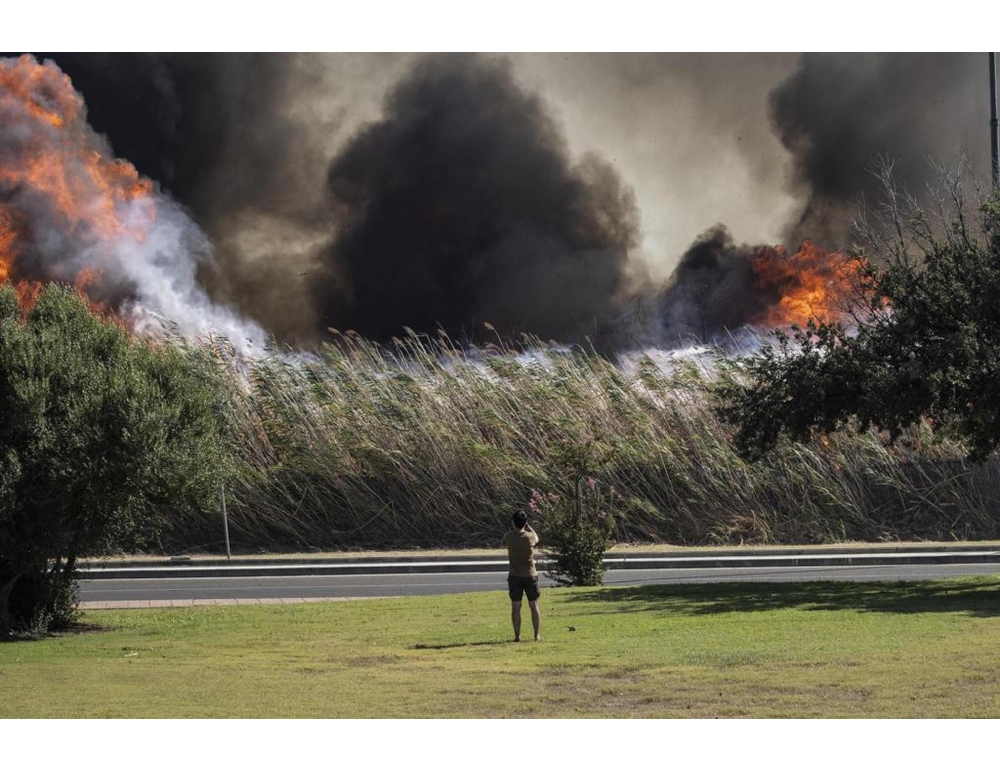 Incendi Sardegna,dolo pure a Molentargius,stagno dei fenicotteri