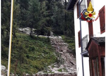 Verranno ospitate in una palestra a Cortina D'Ampezzo