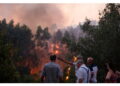 Un migliaio i vigili del fuoco in azione in diverse regioni