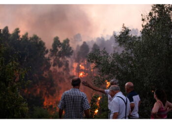 Un migliaio i vigili del fuoco in azione in diverse regioni