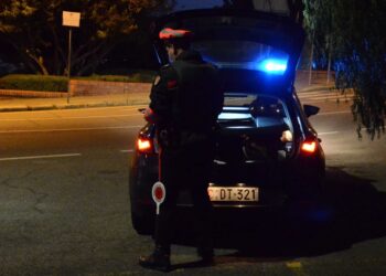 Carabinieri lo denunciano e gli ritirano la patente a Duino