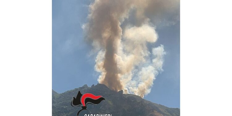 In fiamme 4 ettari