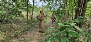 Spaccio nei boschi a Cadorago, un arresto. Sequestrati 150 grammi di droga