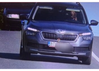 La foto dell'autovelox mostra l'animale al posto di guida