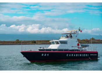 Arrivati dal nord Africa in 19