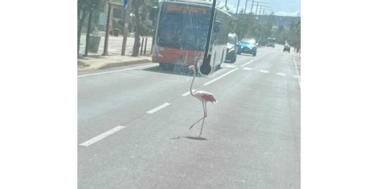 Al Poetto di Cagliari