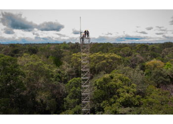 L'allarme del governo di Amazonas