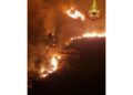 Vigili del fuoco e corpo forestale regionale al lavoro