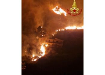 Vigili del fuoco e corpo forestale regionale al lavoro