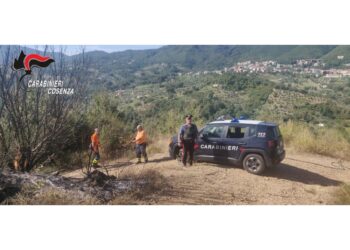 Bloccati in auto nel bosco con accendini e liquido infiammabile