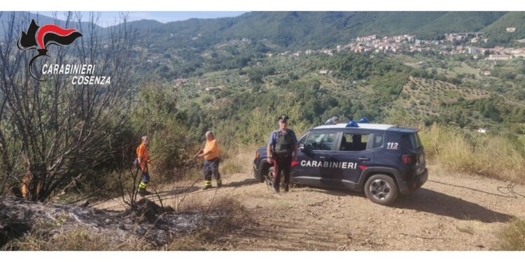 Bloccati in auto nel bosco con accendini e liquido infiammabile