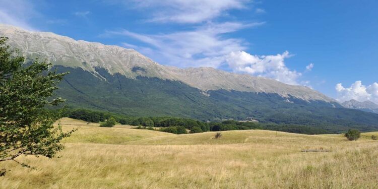 Colpita struttura con base nel Gargano