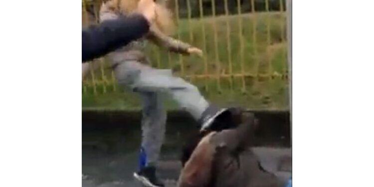 Nel Bresciano. Video finiscono sui social