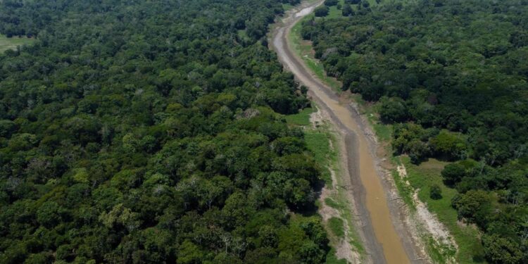 Esperti del governo brasiliano in allerta per l'impatto del Niño