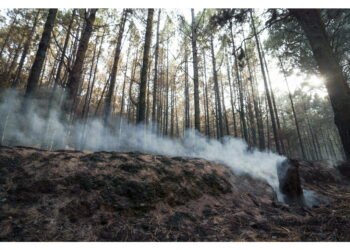 Le fiamme tornano a intensificarsi