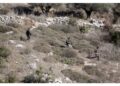 Israele in risposta colpisce oltre confine