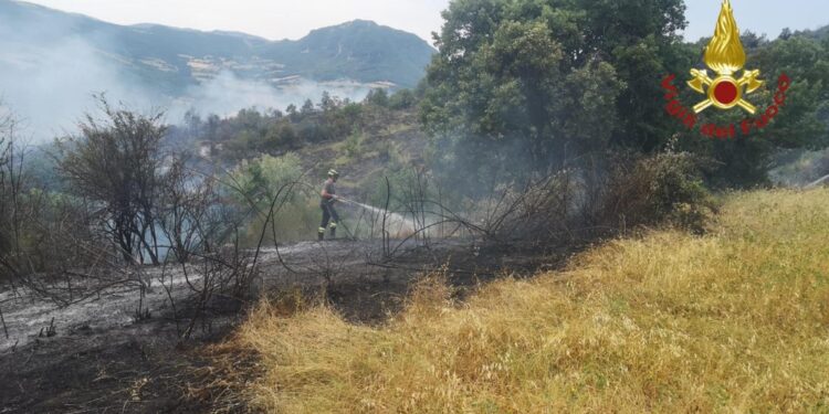 Nel frusinate fiamme tra Amaseno