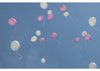 In Consiglio comunale da consigliere di maggioranza Pilloni