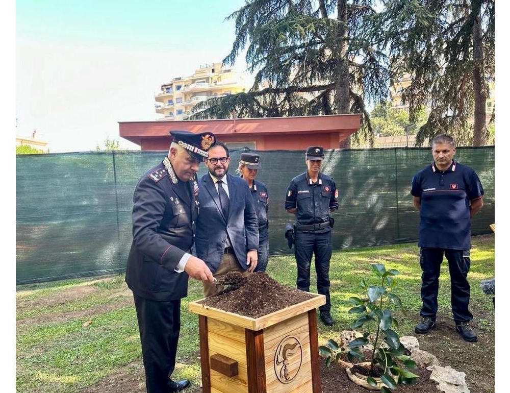 Nella sede del Ros una talea dell’Albero di Falcone