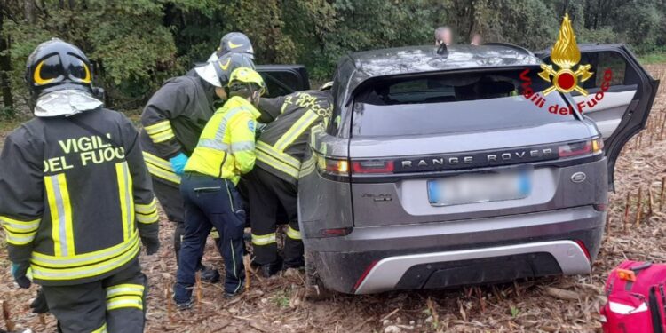 Animale investito lungo la Provinciale 2 a Sospirolo