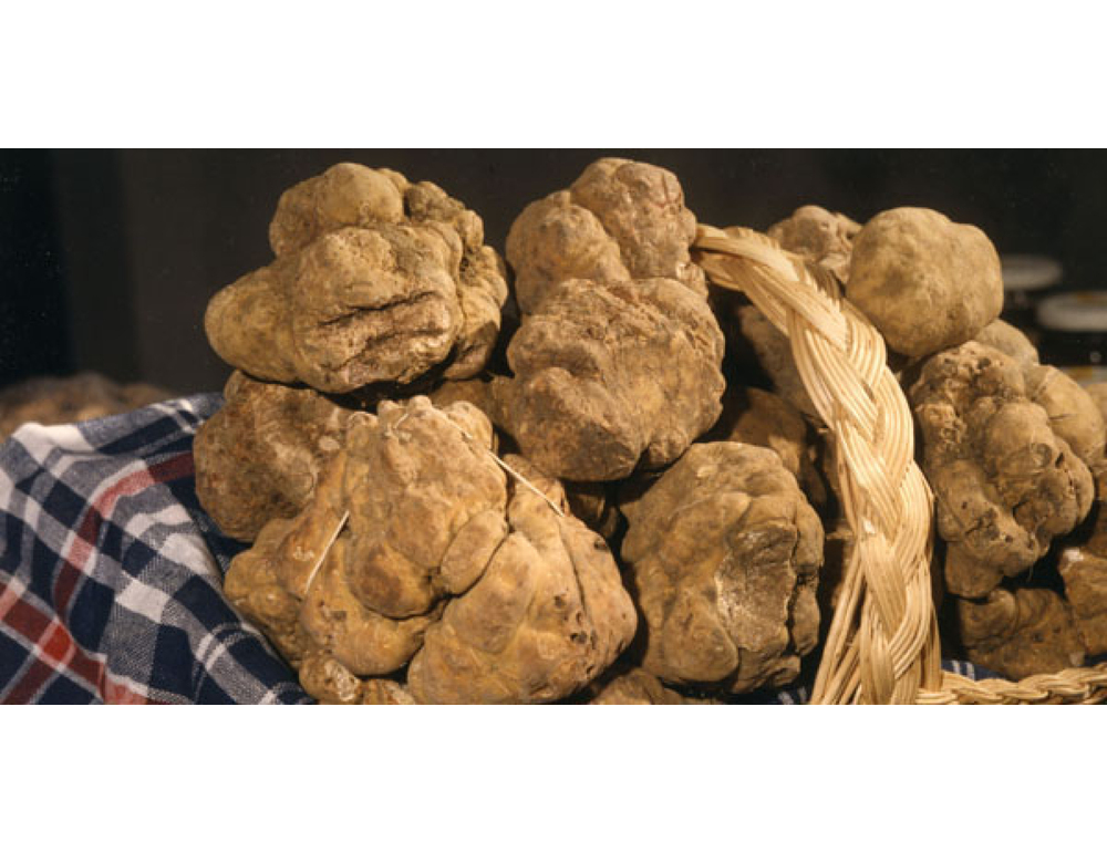 Via alle sagre in tutta Italia