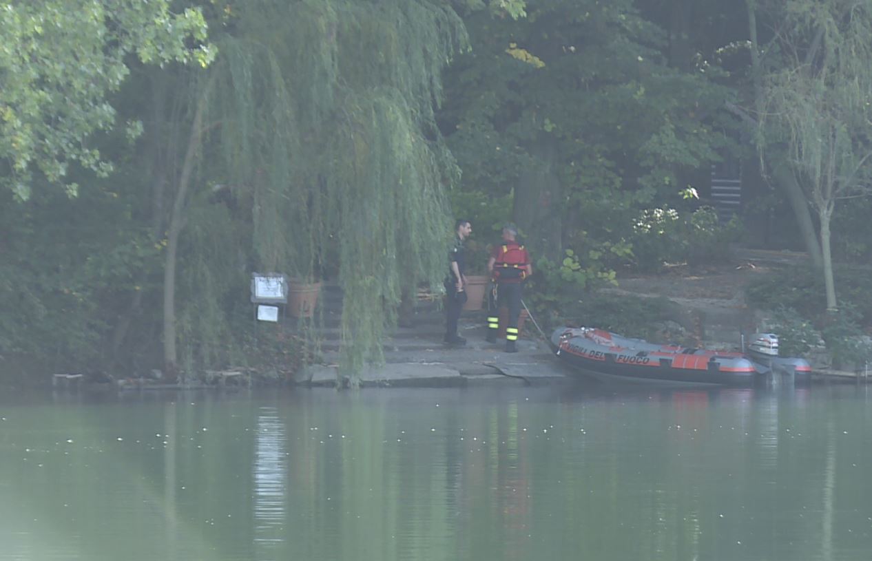 Pusiano, i canguri portati via dall’isola dei Cipressi. Trasferiti in Toscana