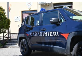 Nel Napoletano indagini dei carabinieri