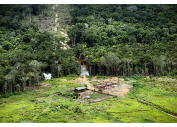 Effetto di riduzione deforestazione e grandi volumi pioggia