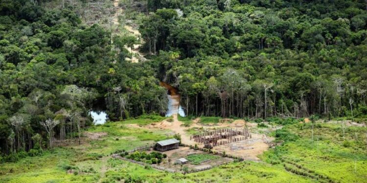 Effetto di riduzione deforestazione e grandi volumi pioggia