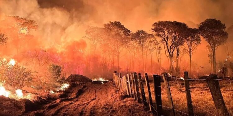 Esercito e indios aiutano pompieri nella lotta contro le fiamme