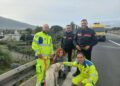 Automobilista lo ha messo in sicurezza