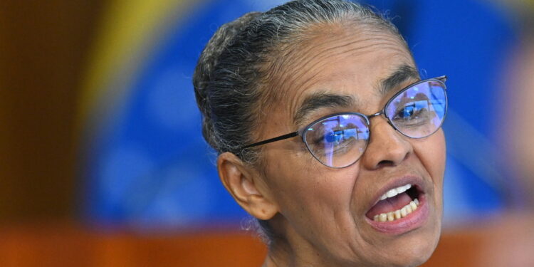 La ministro dell'Ambiente brasiliana è stata eletta da Time