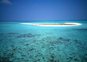 E' la prima richiesta del nuovo presidente Muizzu