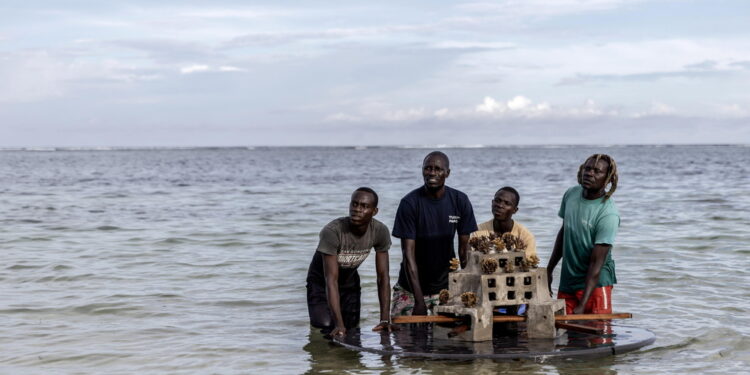 Allarme degli esperti dell'Unep per aumento temperature marine