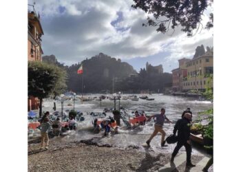 Una foto immortala il fenomeno e diventa virale