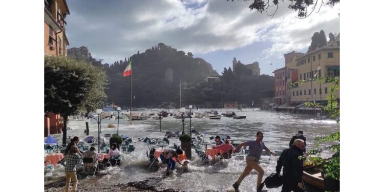 Una foto immortala il fenomeno e diventa virale