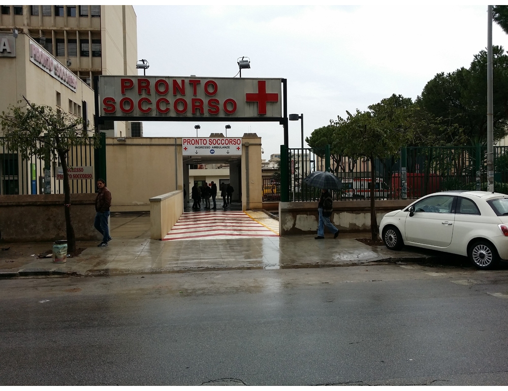 Operaio travolto da albero che tagliava, è ferito grave