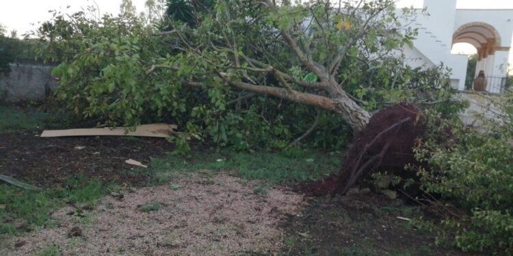 Fenomeno circoscritto ad una frazione di Salve