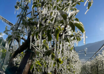 Neve fino a 400-700 metri. Notti sotto zero a Firenze e Roma