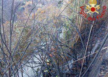 Incendio nei boschi a Brunate