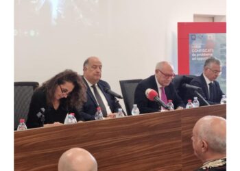 Direttore Agenzia a Conferenza organizzata da Regione Calabria