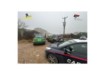 In Emilia e Veneto. Operazione della Gdf e Carabinieri