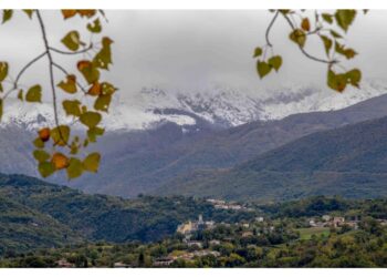 Ricerche in corso