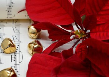 Note Auree, domani il concerto di Natale nell’ex Casa del Fascio