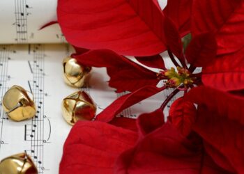 Note Auree, domani il concerto di Natale nell’ex Casa del Fascio